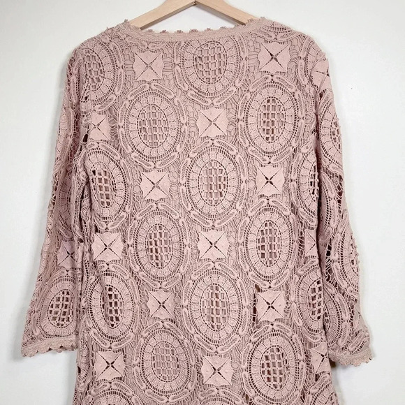 French Connection Lark Rise Crochet Dress  In Dusty Rose Color - Picture 10 of 14